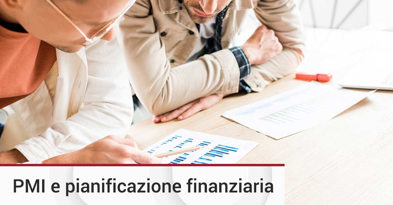 Business plan modello PMI